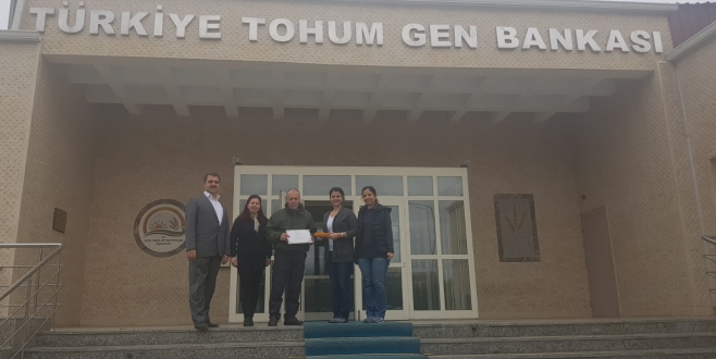 Abhaz Mısırı Türkiye Tohum Gen Bankasına Teslim Edildi.